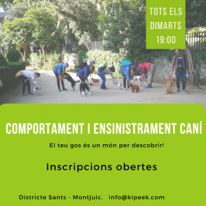 Clases de Educación Canina- (Grupal) Barcelona